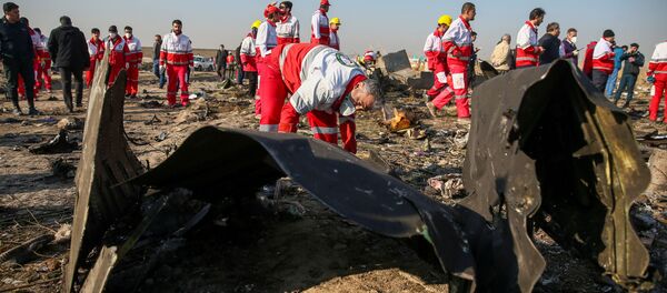İran Kızılayı çalışanları Tahran'da düşen Ukrayna yolcu uçağının enkazında incelemelerde bulunurken İran Kızılayı çalışanları Tahran'da düşen Ukrayna yolcu uçağının enkazında incelemelerde bulunurken - Sputnik Türkiye