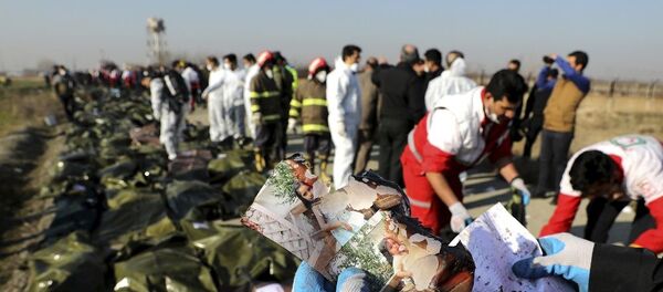 İran'ın düşürdüğü Ukrayna Havayolları'na ait yolcu uçağı - Sputnik Türkiye