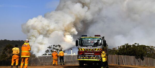 Avustralya yangın - Sputnik Türkiye