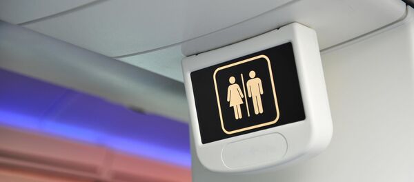 Uçak tuvaleti Uçak tuvaleti - Sputnik Türkiye