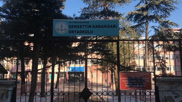 Şemsettin Karahisari Ortaokulu - Sputnik Türkiye
