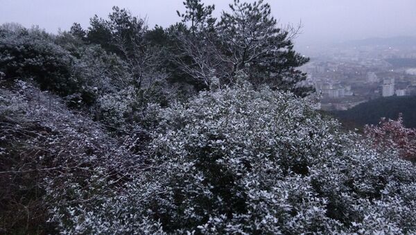 İstanbul’da kar yağdı, Aydos Ormanı beyaz örtüyle kaplandı - Sputnik Türkiye
