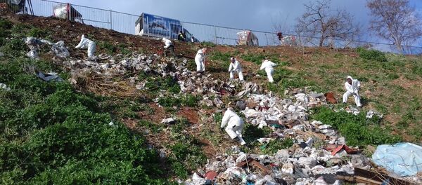 Adalar, çöp, ahır, temizlik Adalar, çöp, ahır, temizlik - Sputnik Türkiye