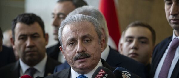 Mustafa Şentop - Sputnik Türkiye