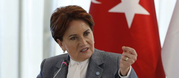 Meral Akşener - Sputnik Türkiye