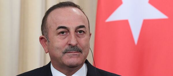 Mevlüt Çavuşoğlu - Sputnik Türkiye