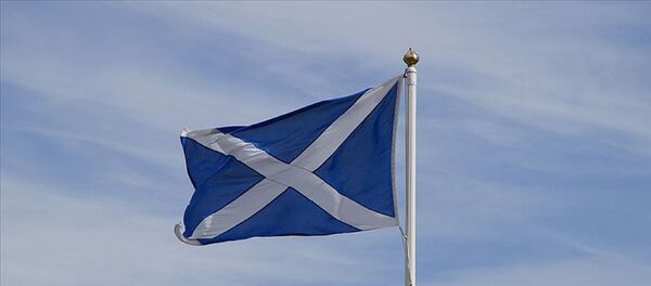 İskoçya Bayrağı İskoçya Bayrağı - Sputnik Türkiye