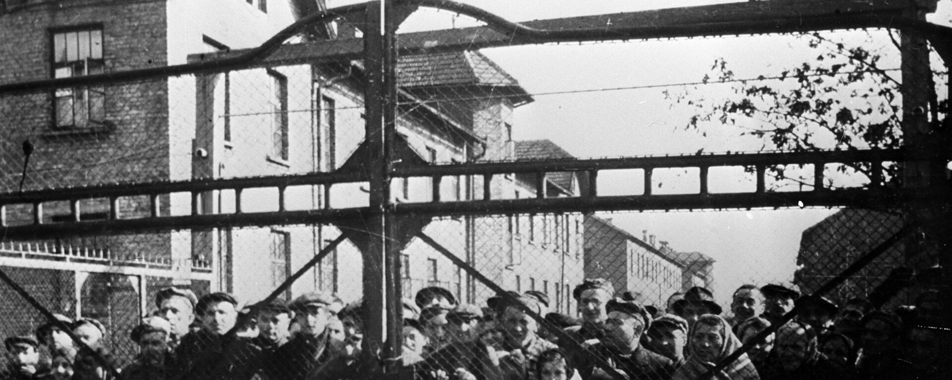 Auschwitz Toplama kampının Sovyet Kızıl Ordusu tarafından kurtarılışının 78. yıldönümü - Sputnik Türkiye, 1920, 24.01.2022