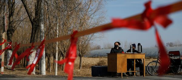 Çin'de koronovirüs salgınının merkezi Hubey eyaletine komşu köyler, yolları kapatıp kontrol noktaları kuruyor. Çin'de koronovirüs salgınının merkezi Hubey eyaletine komşu köyler, yolları kapatıp kontrol noktaları kuruyor. - Sputnik Türkiye