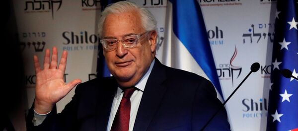 David Friedman  - Sputnik Türkiye
