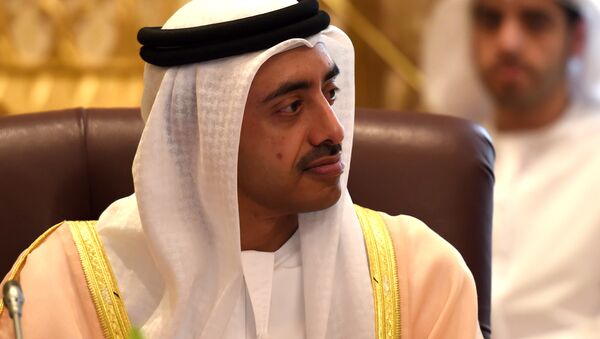 Birleşik Arap Emirlikleri (BAE) Dışişleri Bakanı Abdullah bin Zayid - Sputnik Türkiye