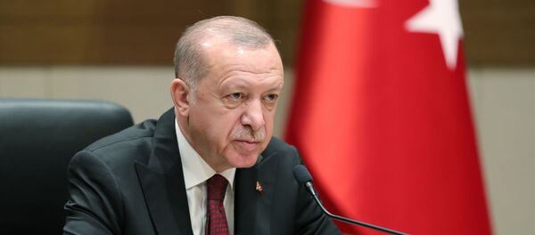 Recep Tayyip Erdoğan - Sputnik Türkiye