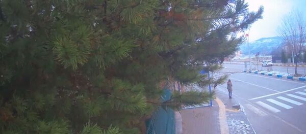 Gülistan Doku Gülistan Doku - Sputnik Türkiye