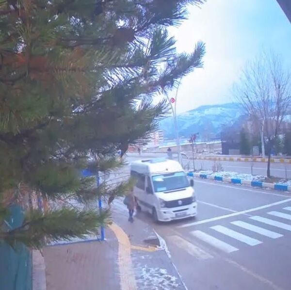 Arama çalışmaları süren Gülistan Doku'nun yeni görüntüleri ortaya çıktı - Sputnik Türkiye