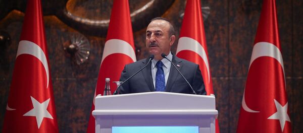Mevlüt Çavuşoğlu - Sputnik Türkiye