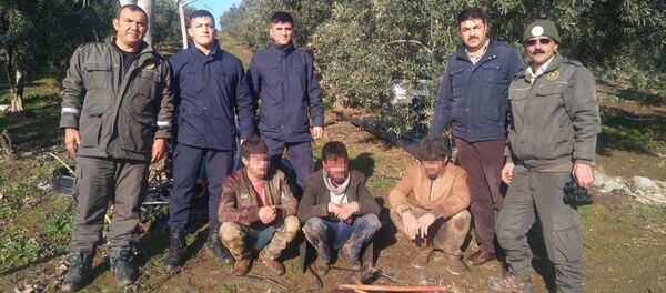 Oklu kirpi avına 40 bin TL ceza - Sputnik Türkiye