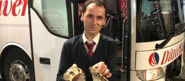 Otobüste kaçan piton - Sputnik Türkiye