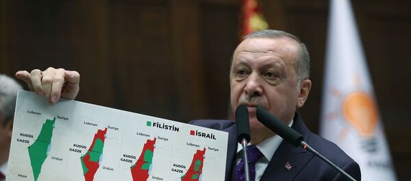 Gün sessizliğe bürünme değil Filistin davasına ve Kudüs'ü Şerif'e sahip çıkma günüdür. Filistinli kardeşlerimizin razı olmadığı bir plana asla destek vermeyeceğiz. - Sputnik Türkiye