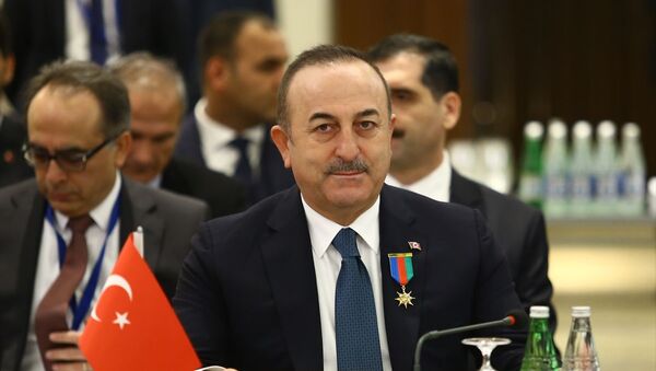  Dışişleri Bakanı Mevlüt Çavuşoğlu - Sputnik Türkiye
