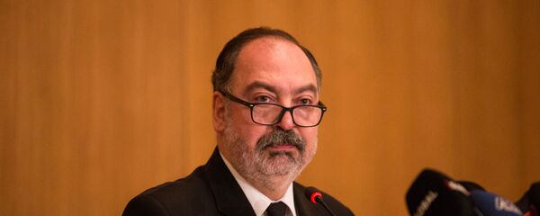 Pegasus Genel Müdürü Mehmet Nane - Sputnik Türkiye