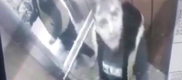 İzmir, damacana, idrar - Sputnik Türkiye