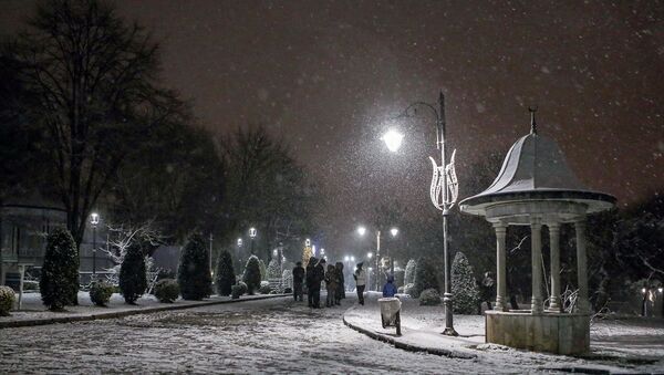 İstanbul'da gece yarısından itibaren başlayan kar yağışı, Çamlıca bölgesinde etkili oldu. - Sputnik Türkiye