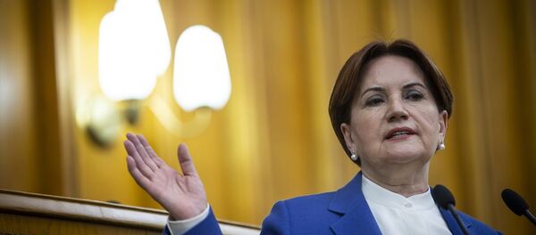 Meral Akşener Meral Akşener - Sputnik Türkiye