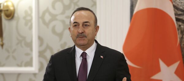 Dışişleri Bakanı Mevlüt Çavuşoğlu - Sputnik Türkiye