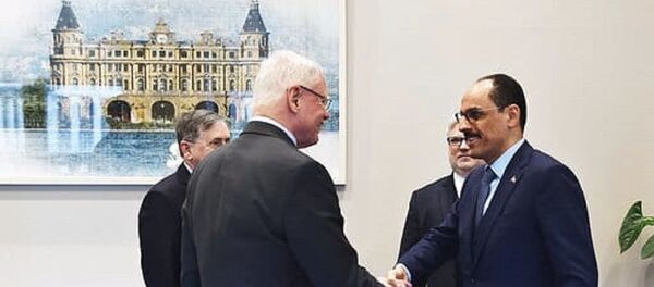 İbrahim Kalın -  James Jeffrey - Sputnik Türkiye