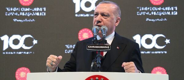 Recep Tayyip Erdoğan - Sputnik Türkiye