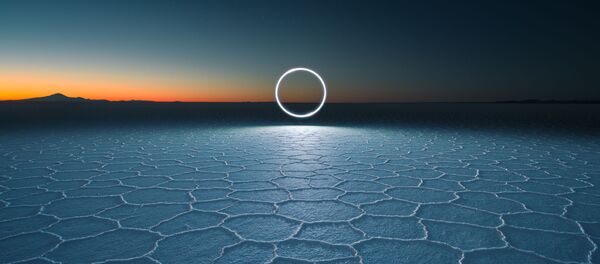 2020 Sony Dünya Fotoğrafçılık Ödülleri - Sputnik Türkiye