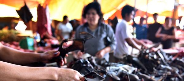  Koronavirüs salgınına rağmen yarasa eti Endonezya'da popüler - Sputnik Türkiye