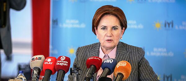 İYİ Parti Genel Başkanı Meral Akşener - Sputnik Türkiye