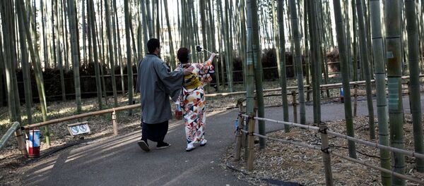 Japonya Kyoto Japonya Kyoto - Sputnik Türkiye
