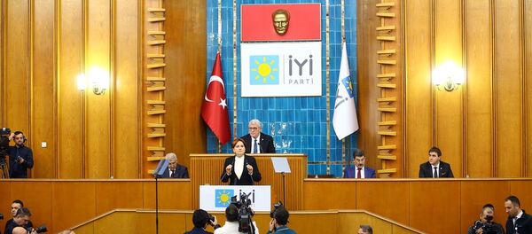 İYİ Parti lideri Meral Akşener - Sputnik Türkiye