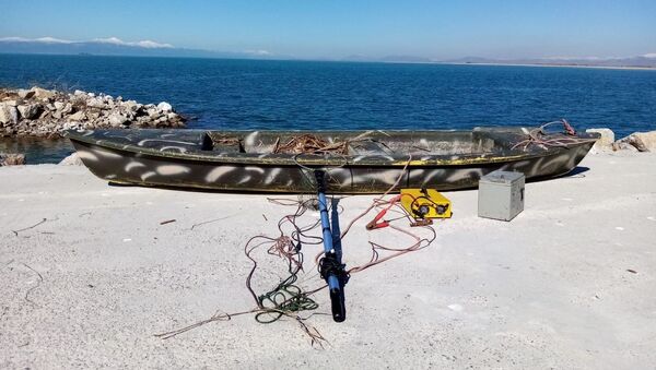 Elektrikle balık avladılar, 147 bin liralık cezaya çarptırıldılar - Sputnik Türkiye