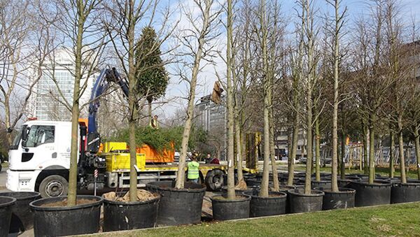 Gezi Parkı'na 150 yeni ağaç dikiliyor - Sputnik Türkiye