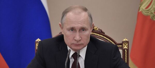 Vladimir Putin - Sputnik Türkiye