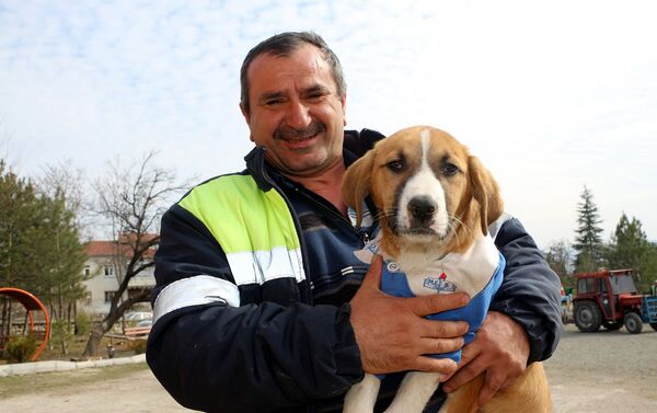 Tokat Turhal'da, bir köy okulunda öğretmen ve öğrenciler tarafından beslenen 'Fındık' isimli köpeğin öğrenci önlüğü giydirilerek çekilen fotoğrafları, dün sosyal medyada beğeni ve paylaşım rekoru kırmıştı. Okulun maskotu haline gelen köpek bugün hastalandı.  - Sputnik Türkiye