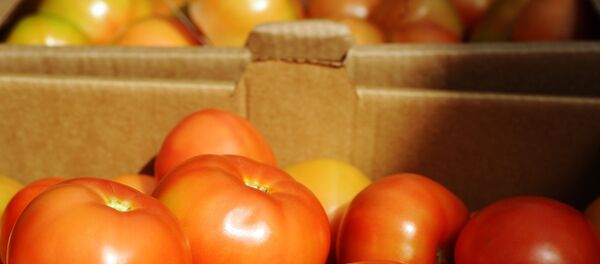 Domates - Sputnik Türkiye