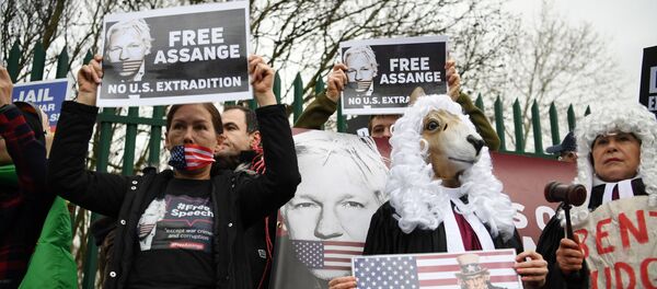 Julian Assange-ABD'ye iade davası - Sputnik Türkiye
