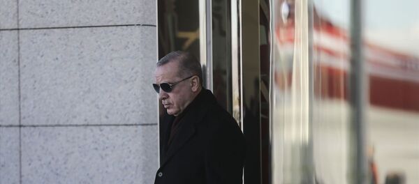 Türkiye Cumhurbaşkanı Recep Tayyip Erdoğan - Sputnik Türkiye