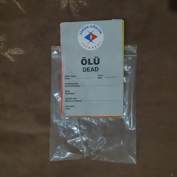 Sabiha Gökçen kazasından yaralı kurtulan yolcular dava açmaya hazırlanıyor: Üzerimize 'Ölü' ibareli etiket takıldı - Sputnik Türkiye