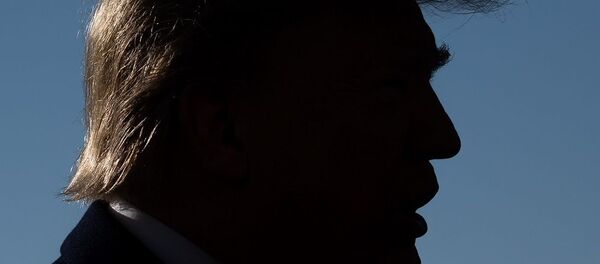 Donald Trump - Sputnik Türkiye