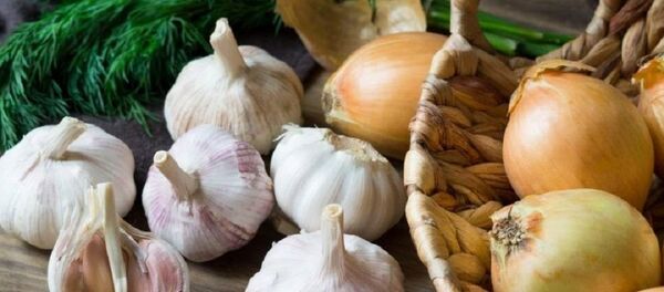 Soğan-Sarımsak Soğan-Sarımsak - Sputnik Türkiye