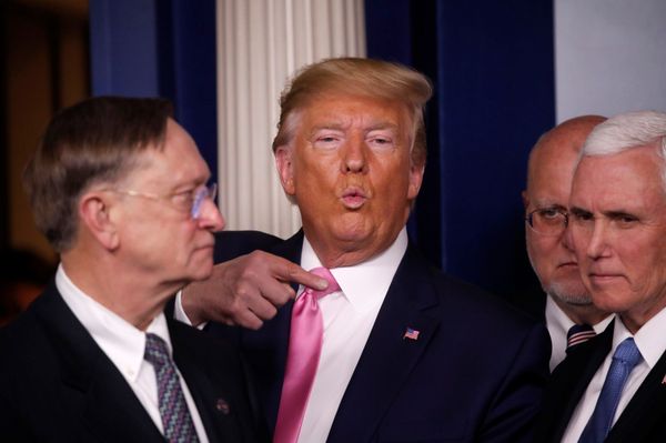 Trump'tan koronavirüs açıklaması: Risk hâlâ çok düşük Trump'tan koronavirüs açıklaması: Risk hâlâ çok düşük - Sputnik Türkiye