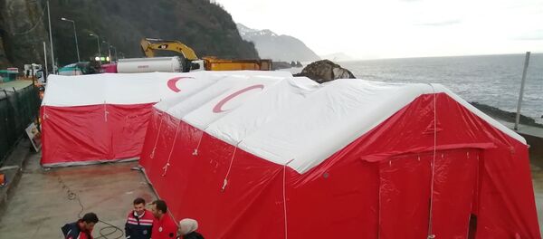 Türkiye ile Gürcistan arasındaki Sarp Sınır Kapısı'nda, Kovid-19 tedbirleri kapsamında 100 yataklı 4 ayrı sahra hastanesi kurulmaya başlandı - Sputnik Türkiye