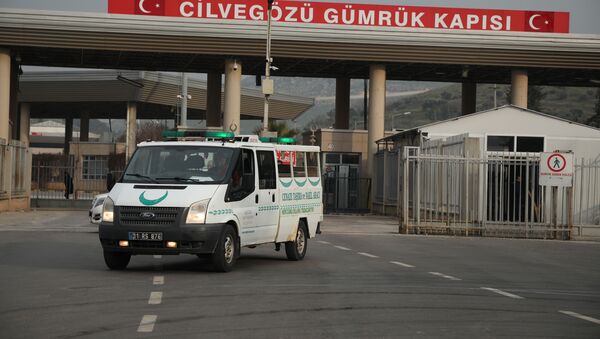 İçerde operasyonlar, sınırda ambulans hareketliliği - Sputnik Türkiye