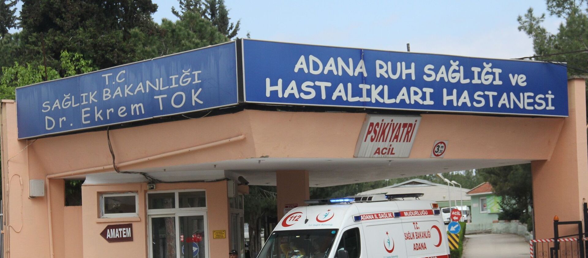Adana'da şizofreni hastası bir kadın, hastanede kendisine küfrettiğini ileri sürdüğü kadının gözlerini çıkardı.  - Sputnik Türkiye, 1920, 06.03.2020
