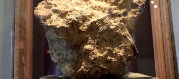 Tarlada bulduğu gök taşını satılığa çıkardı - Sputnik Türkiye